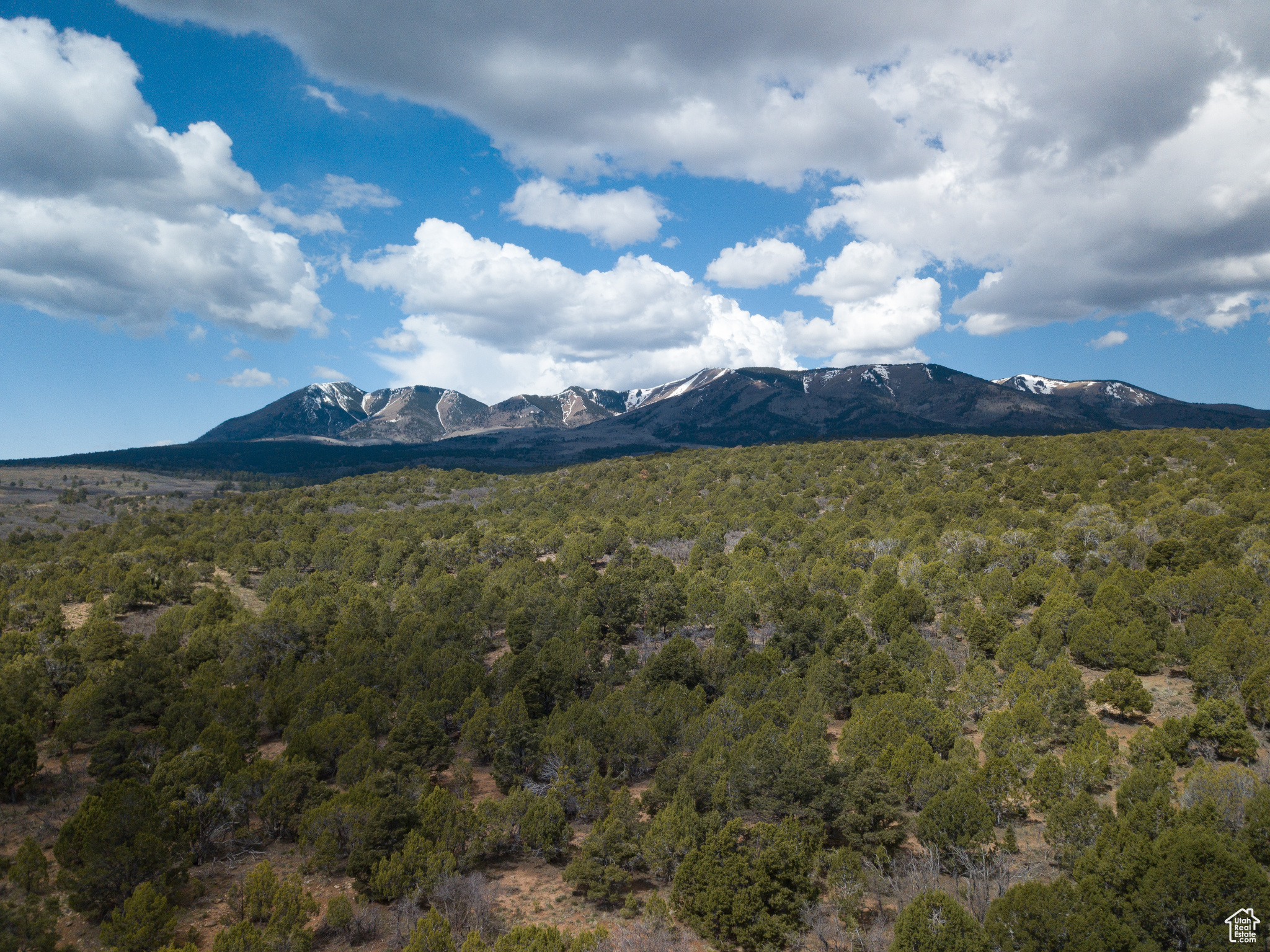 Land, Monticello, Utah image 28