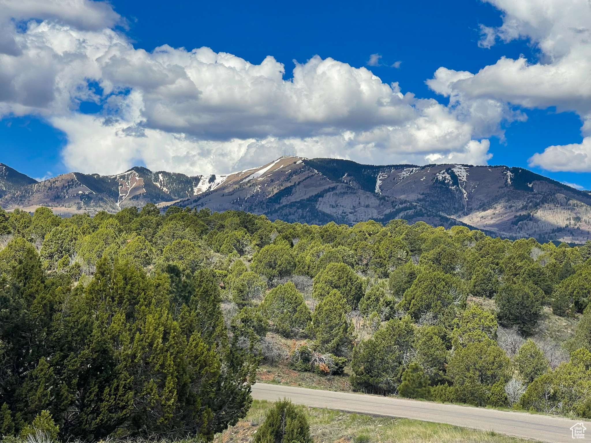 Land, Monticello, Utah image 23