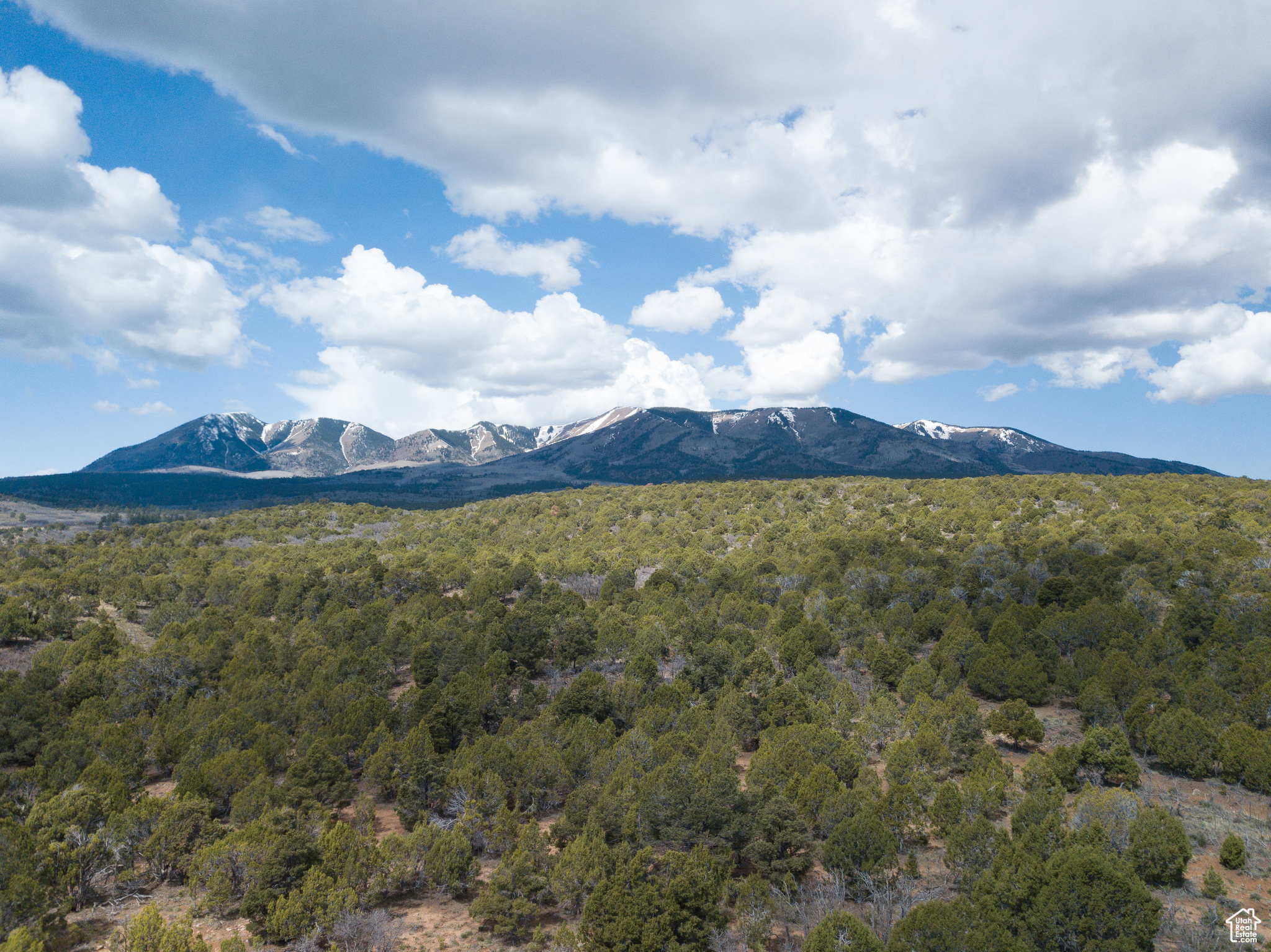 Land, Monticello, Utah image 32