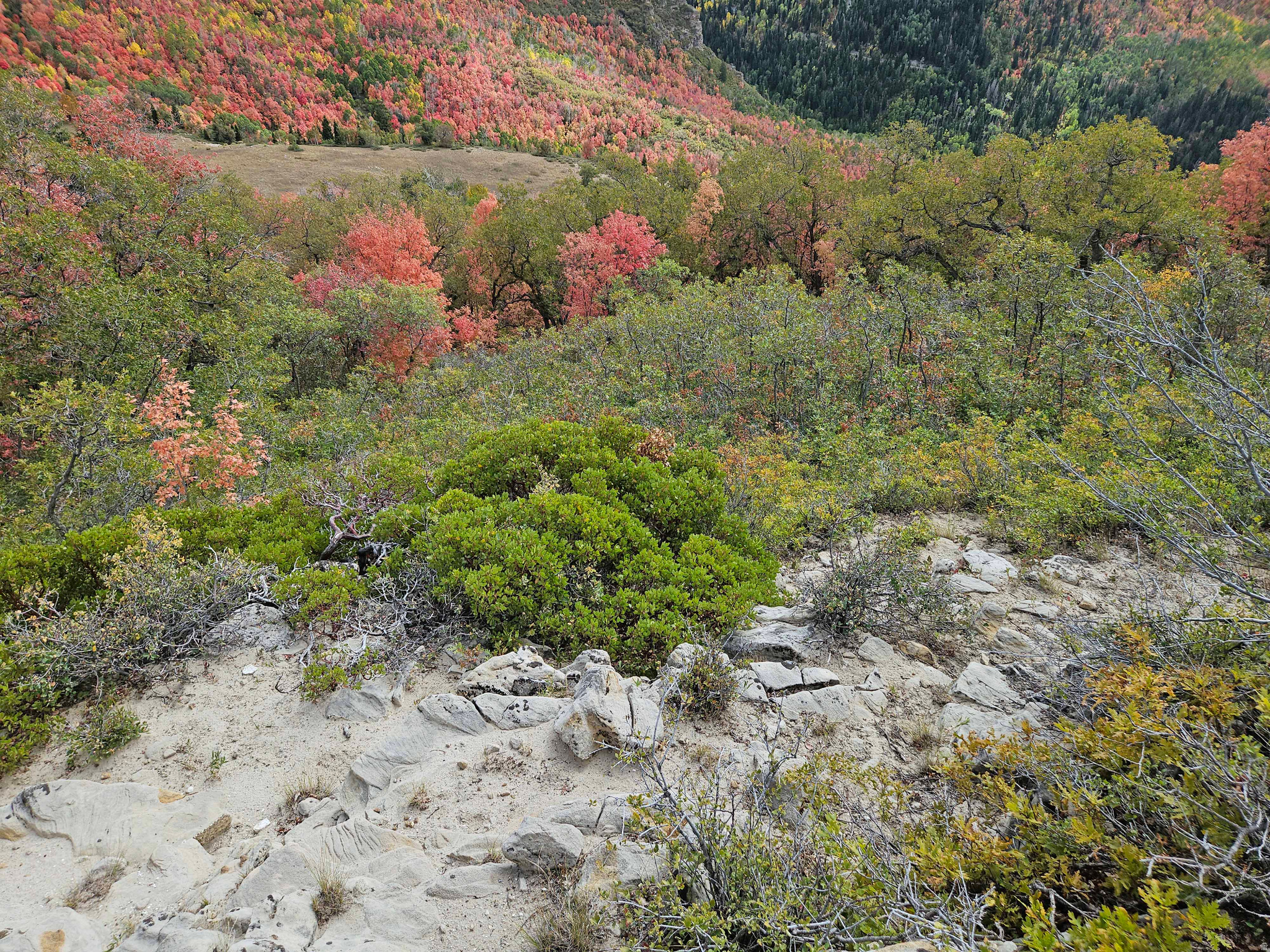 SKYLINE MTN RESORT - Land