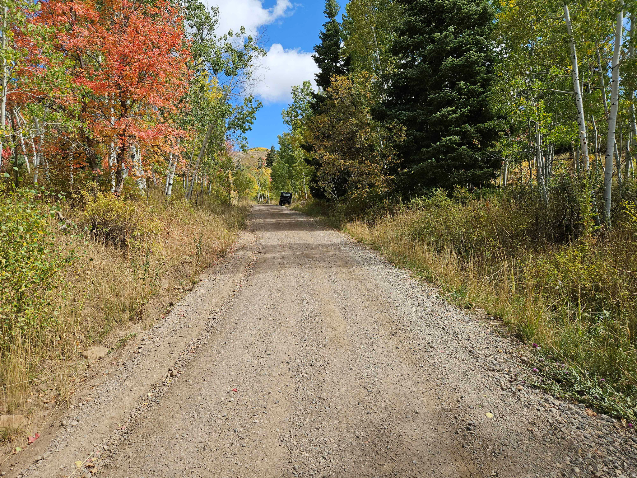 SKYLINE MTN RESORT - Land