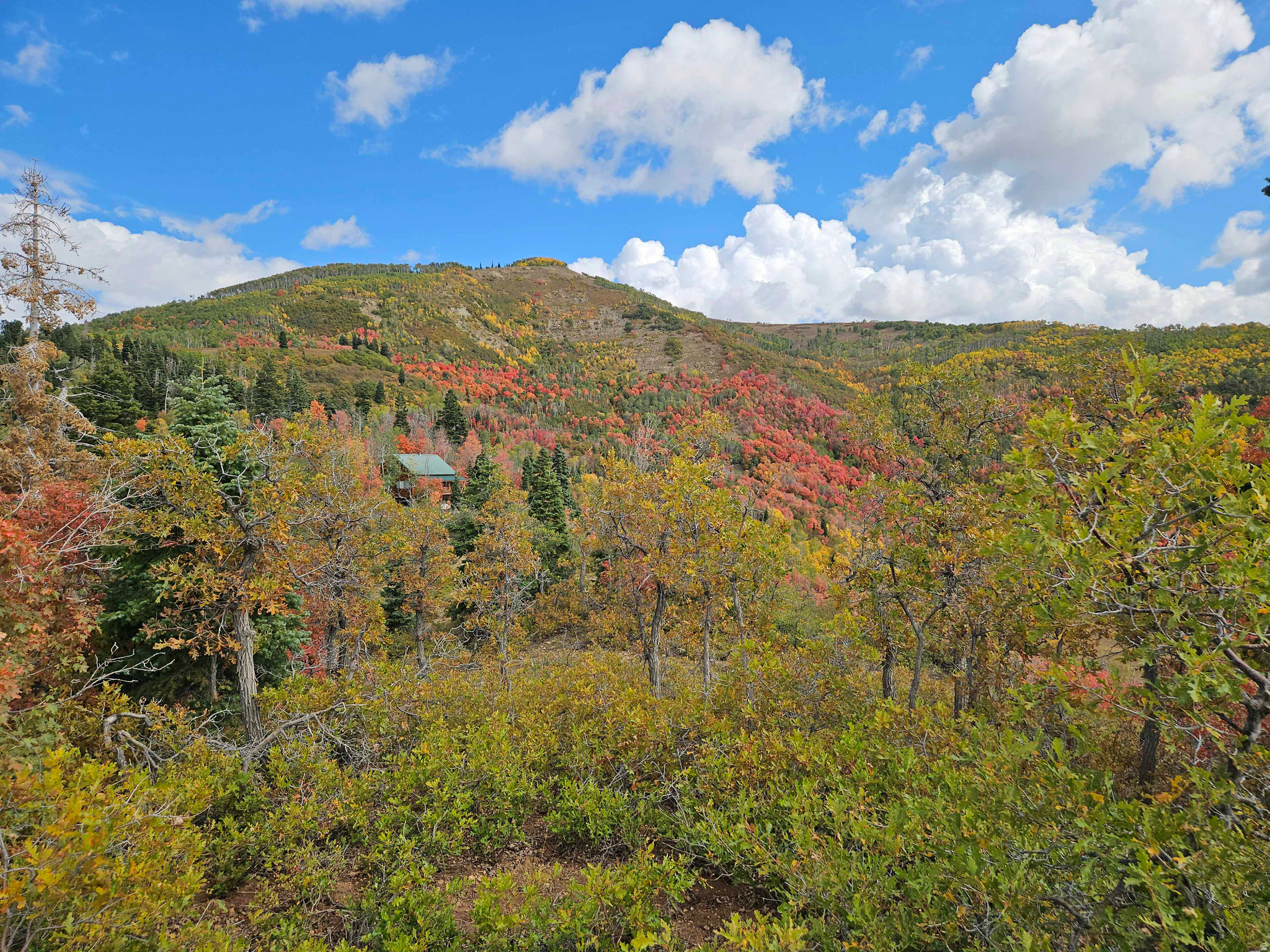 SKYLINE MTN RESORT - Land