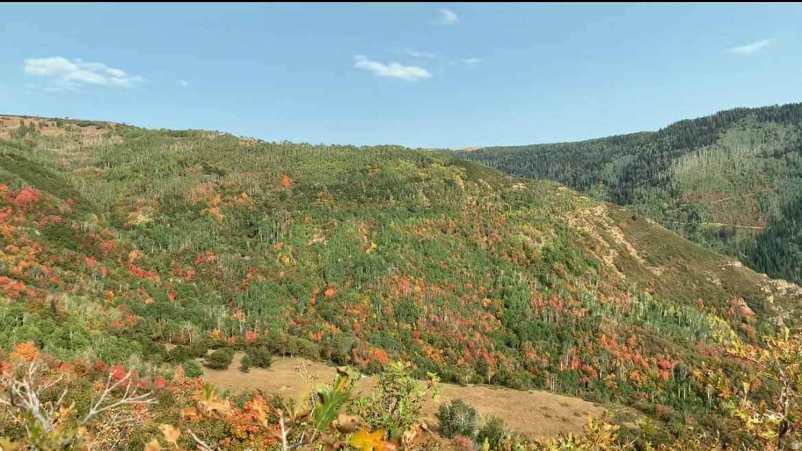 SKYLINE MTN RESORT - Land