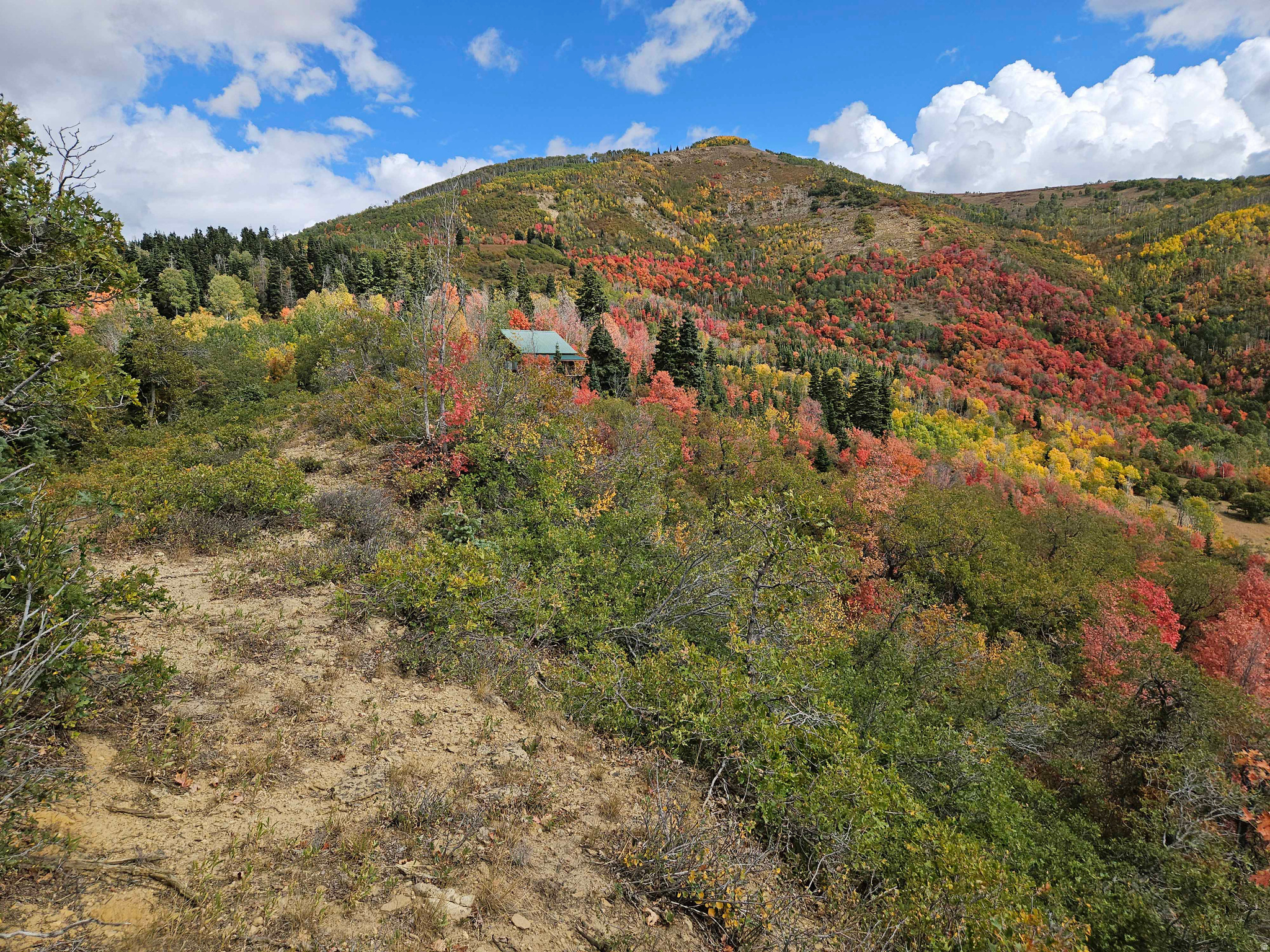 SKYLINE MTN RESORT - Land