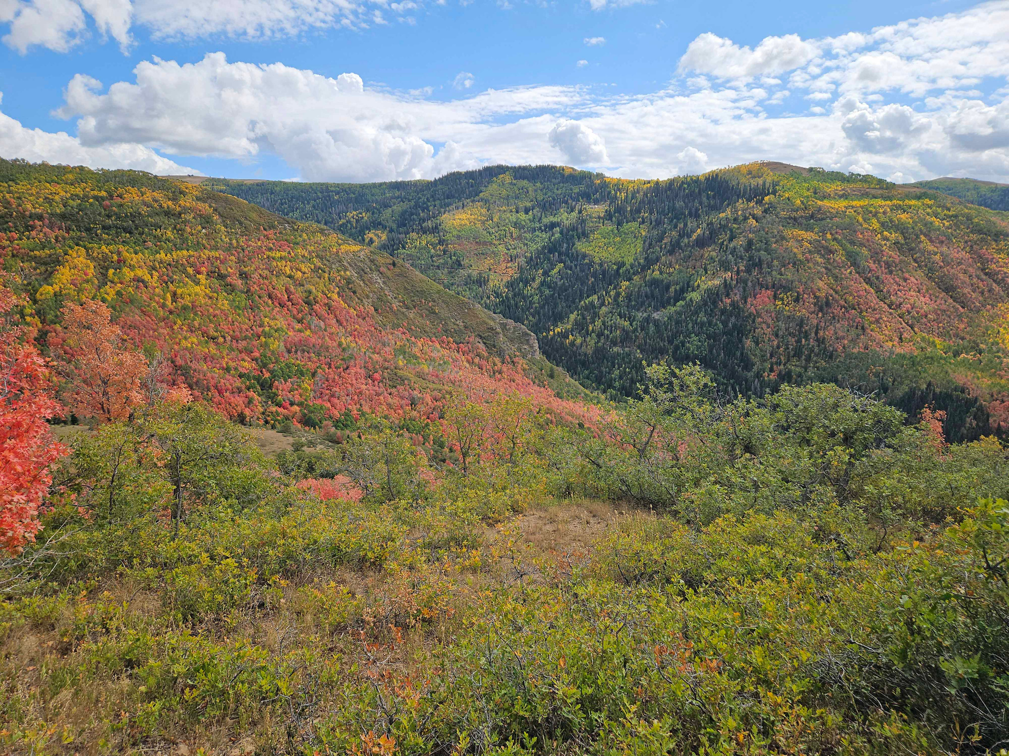 SKYLINE MTN RESORT - Land