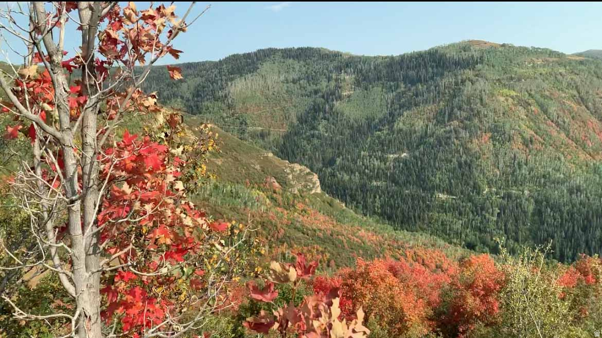 SKYLINE MTN RESORT - Land