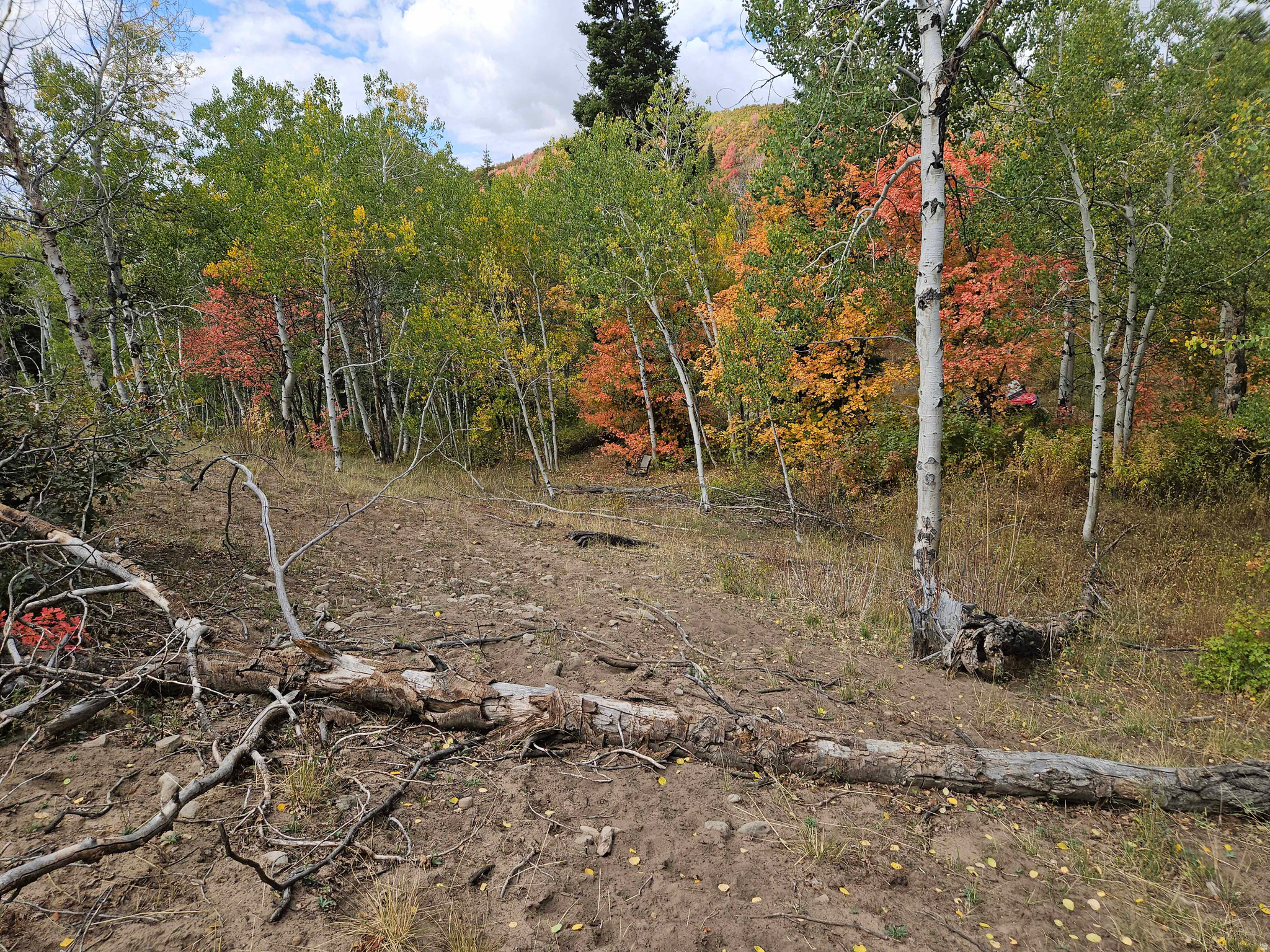 SKYLINE MTN RESORT - Land