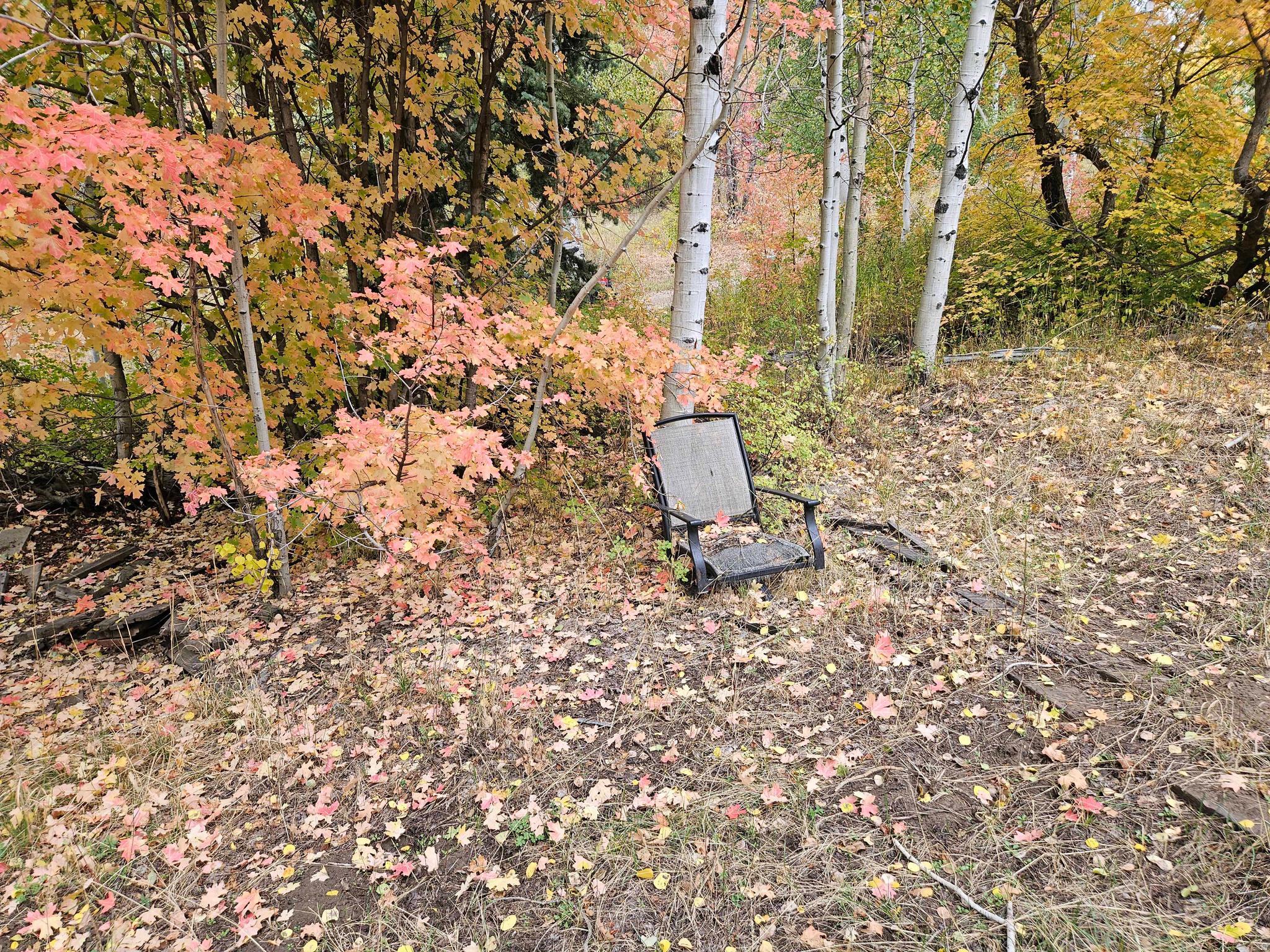 SKYLINE MTN RESORT - Land