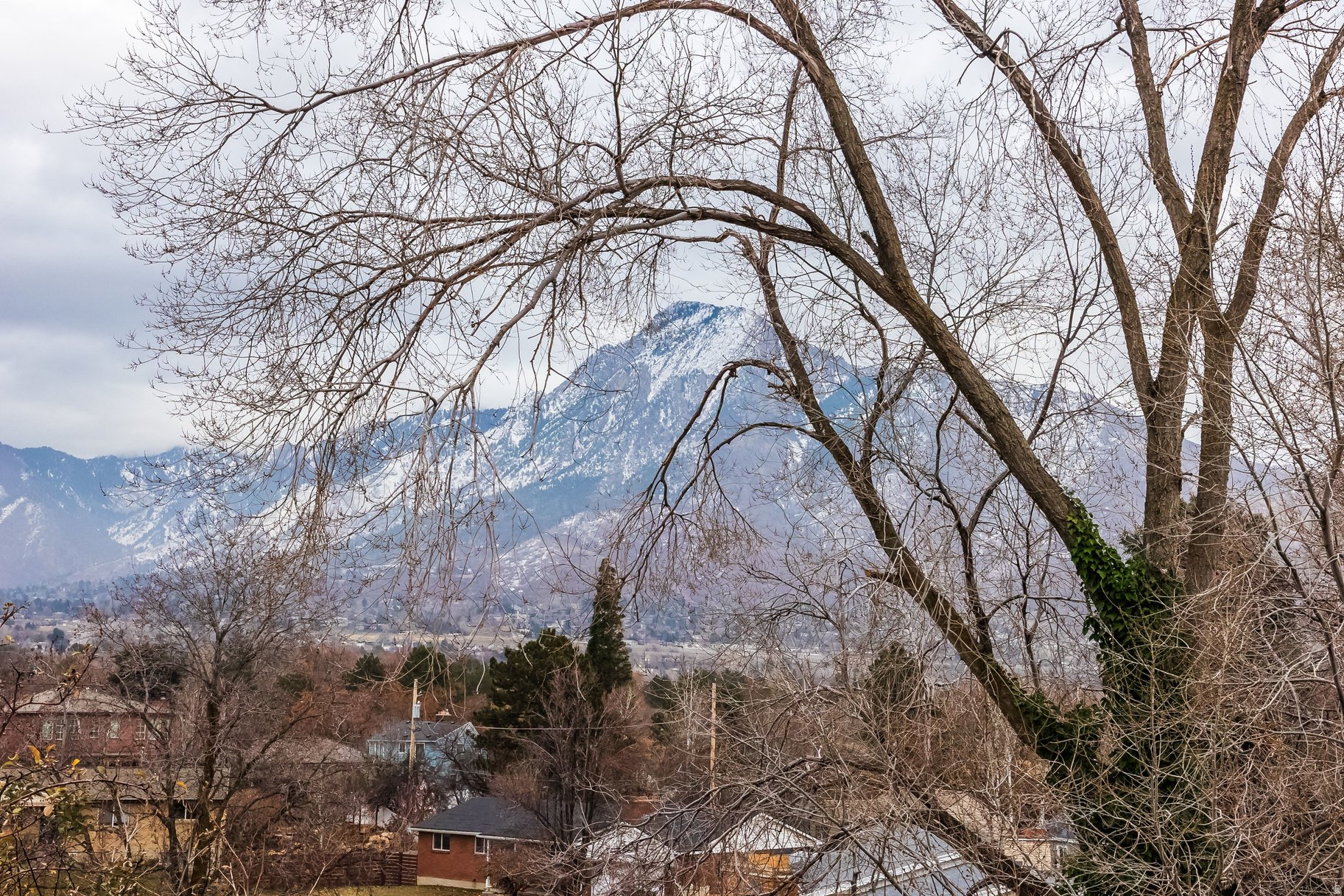 HOLLADAY PARK LANE - Residential