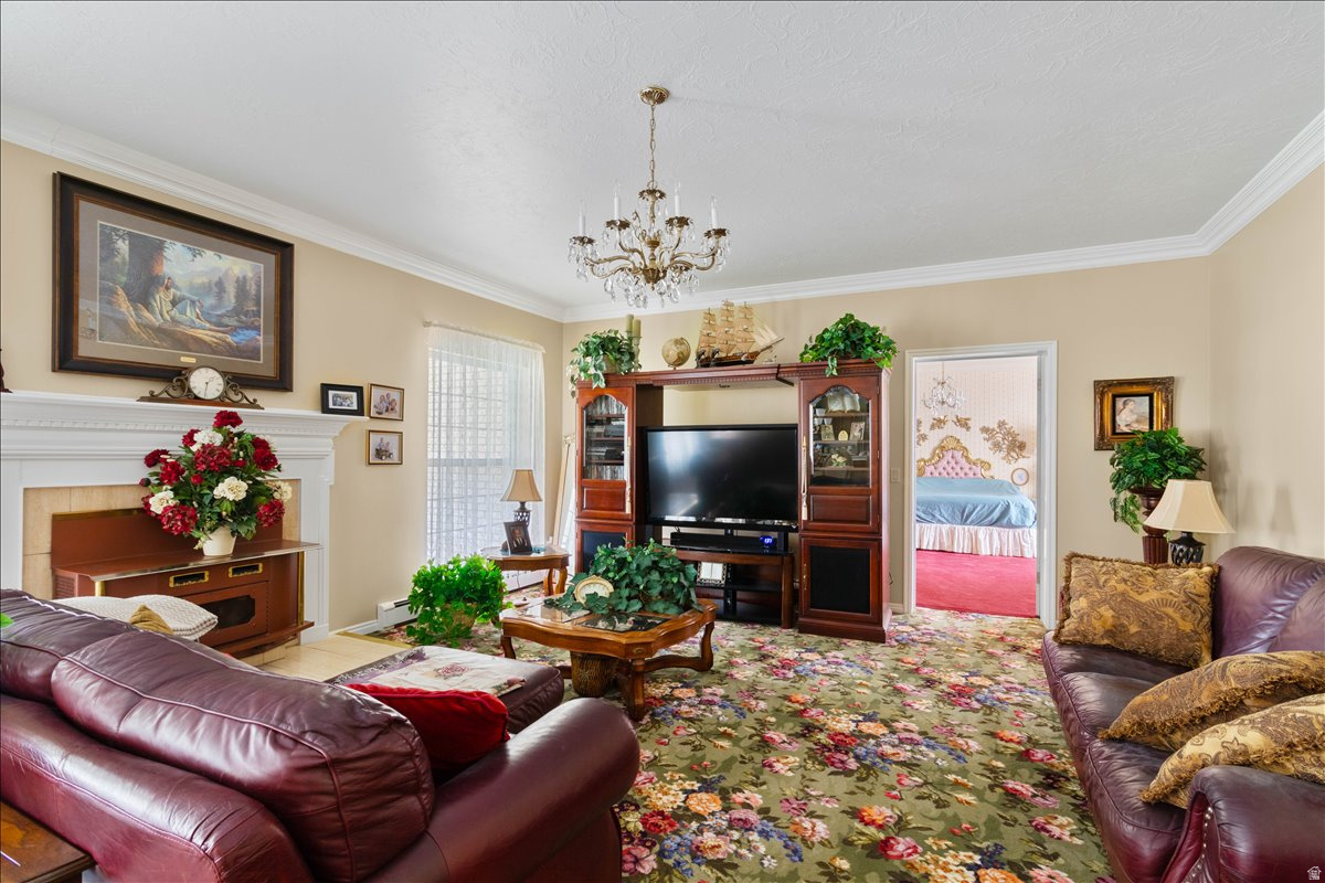 YOUNG PROPERTY - Residential
