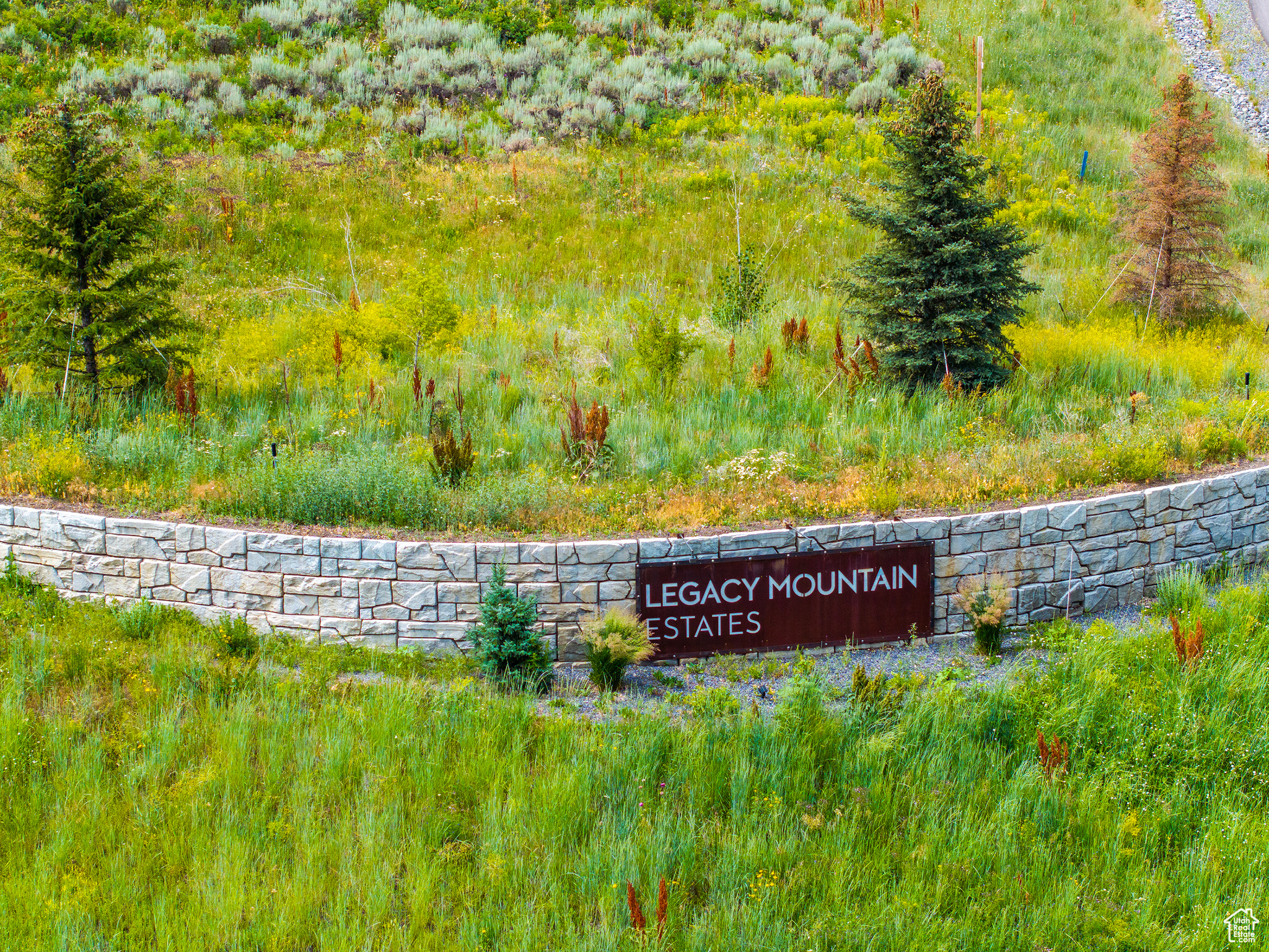 LEGACY MOUNTAIN - Land