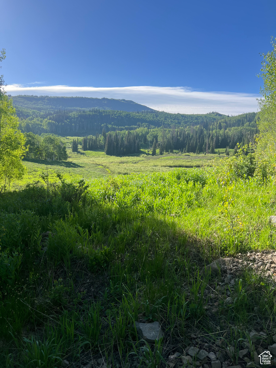 4460 Fawn Way #2039, Heber City, Utah image 46