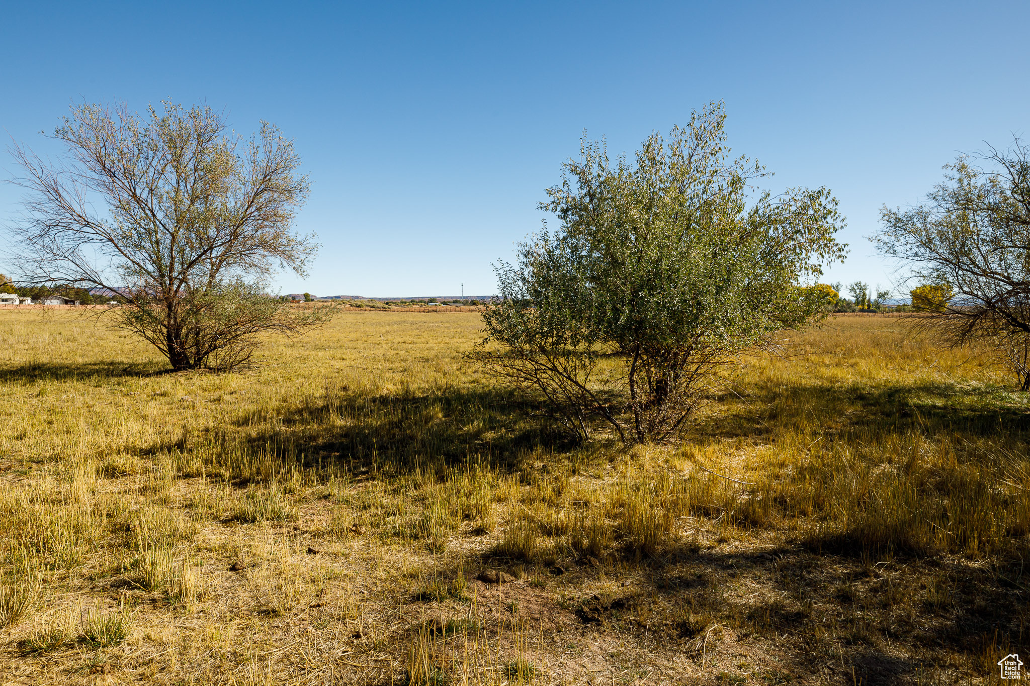 505 S Altus Ln, Fredonia, Arizona image 7