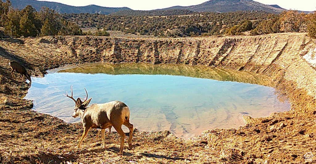 DEEP CREEK RANCHES - Land