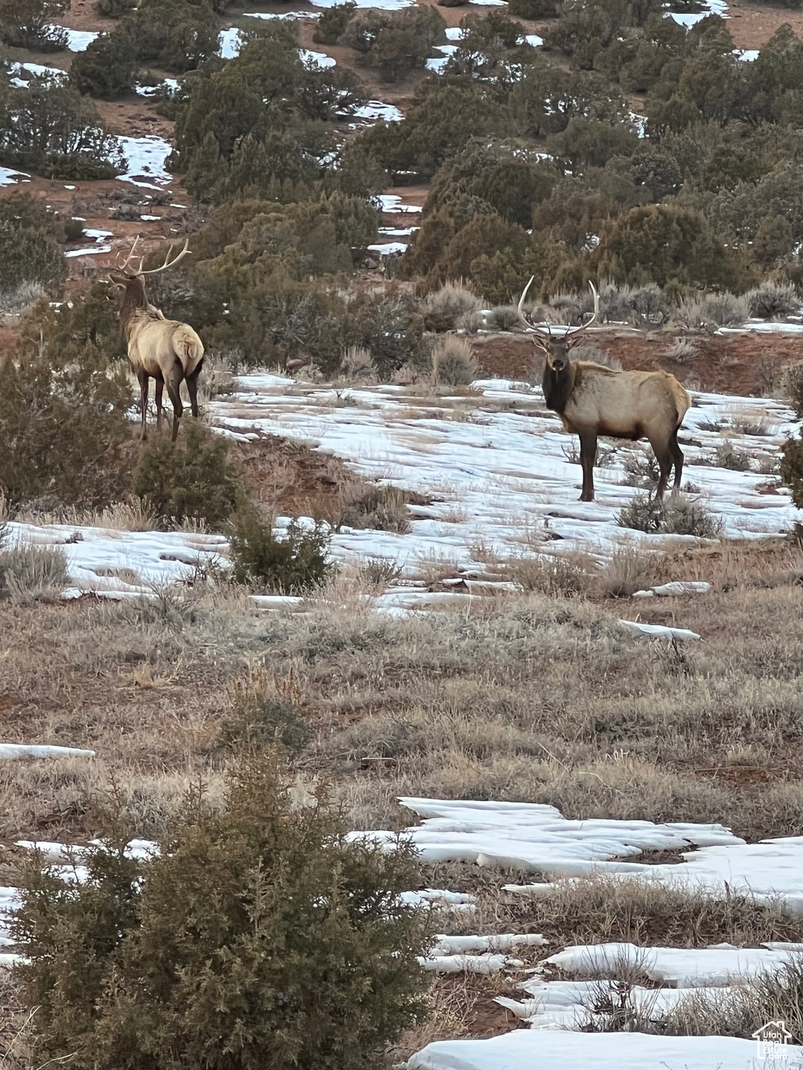 DEEP CREEK RANCHES - Land