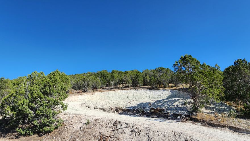 Build your dream home, cabin, or short-term rental on this beautiful 1.01-acre forested lot in Blackhawk Mountain Estates. Access to 1.2M acres of forest land.  Swimming lake under construction.  Community trails.  New and upscale mountain community with quick highway access.  Road paving under construction from Highway in.  Live. Play. Escape. Ready to build now? Ask about Lux Home Builder incentives! Information provided is deemed reliable, but should be independently verified by any interested party.