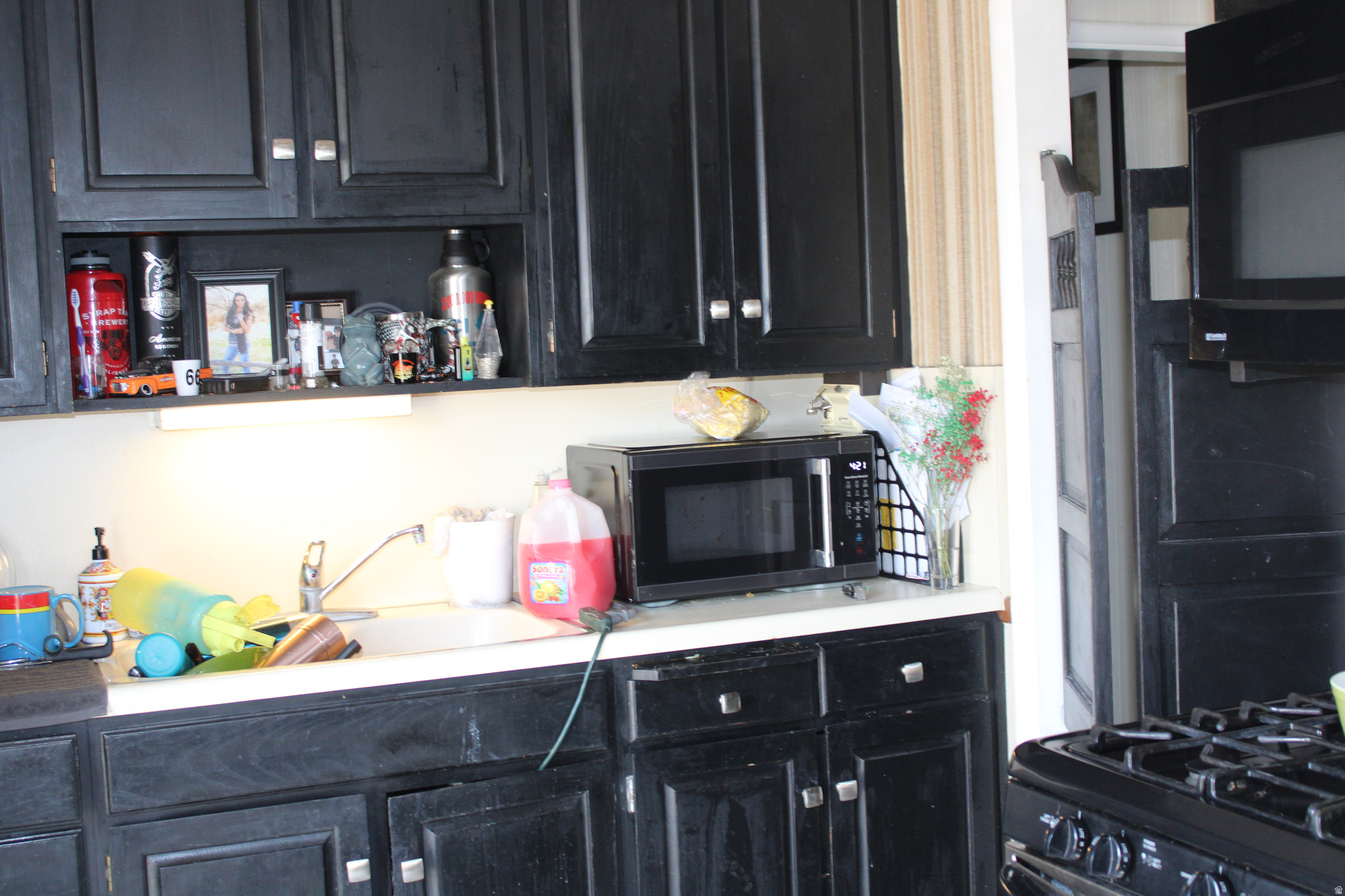 LAKE RIDGE - Residential