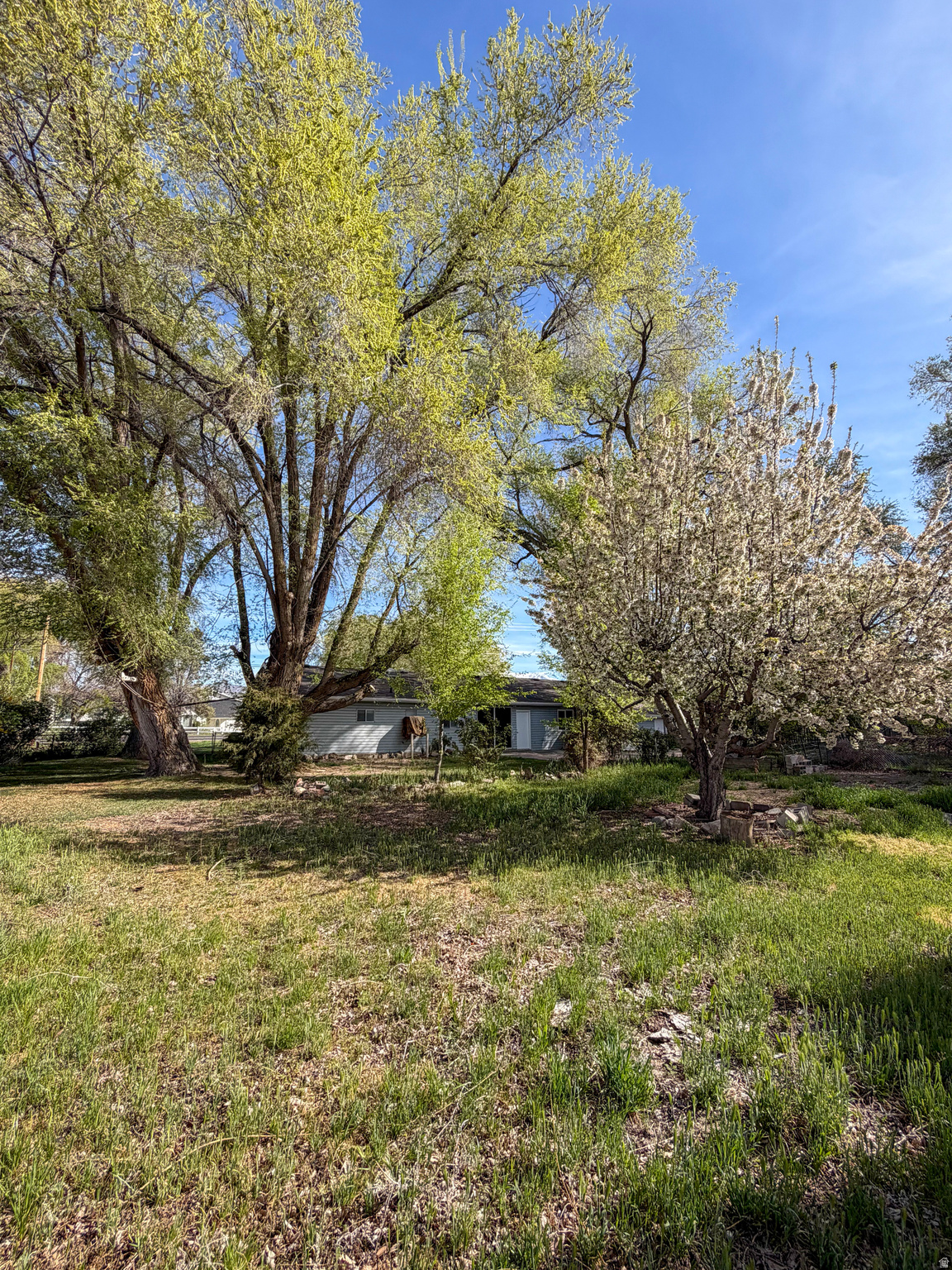 DENSMORE - Residential