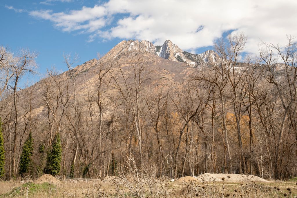 Photo of 2323 E WALKER LN, Holladay, UT 84117 (MLS # 2142671)