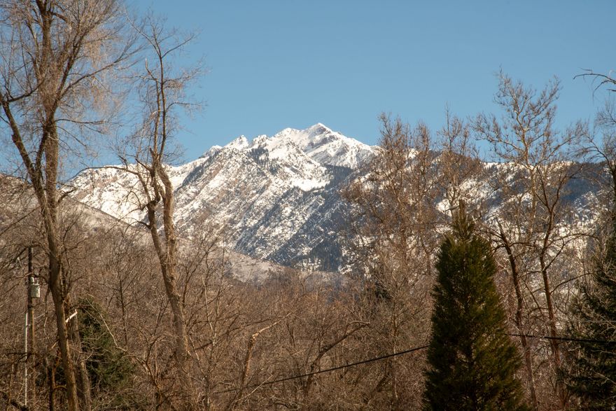 Two acres (apx) on the best spot of Walker Lane. Flat, site prepped and ready for your buyers dream home! The ultimate situation with breathtaking mountain views, wooded adjacent properties and a feeling of country charm! This location and ambiance make this a truly rare find. Two water shares are included. Quick access to Holladay Village, Union Park, great schools, and several freeway access points.