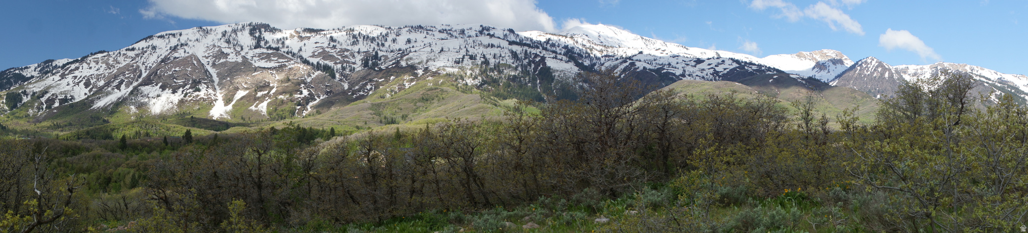 EMERSON HILLS - Land