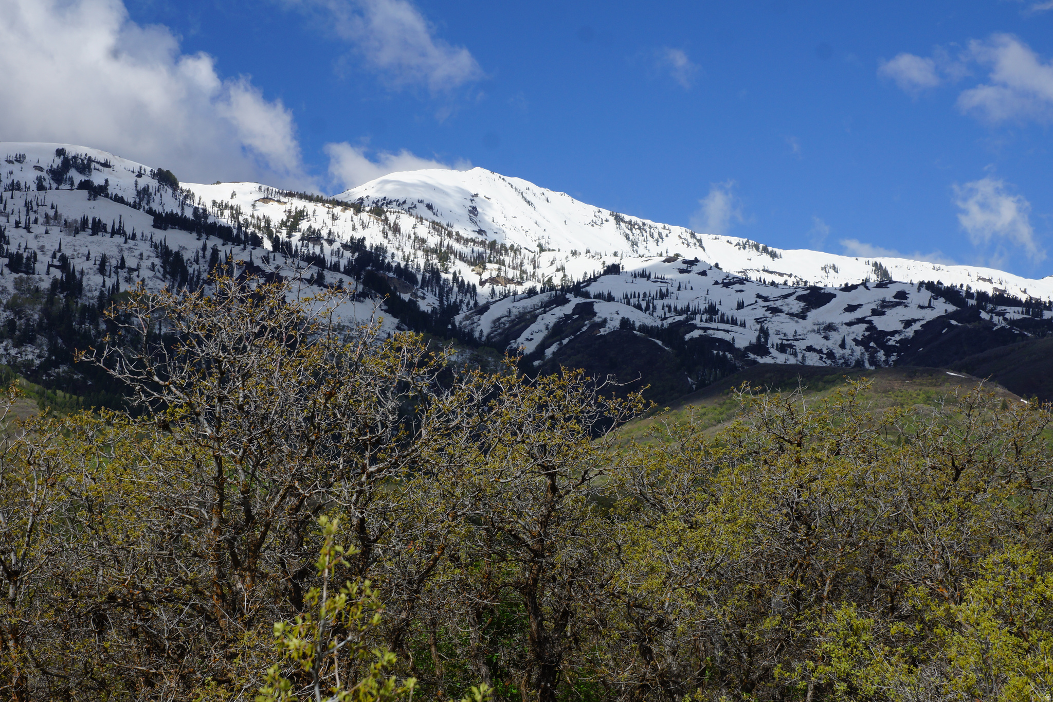 EMERSON HILLS - Land