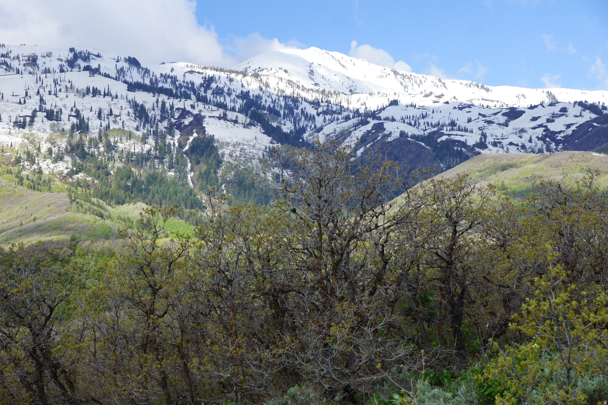 EMERSON HILLS - Land