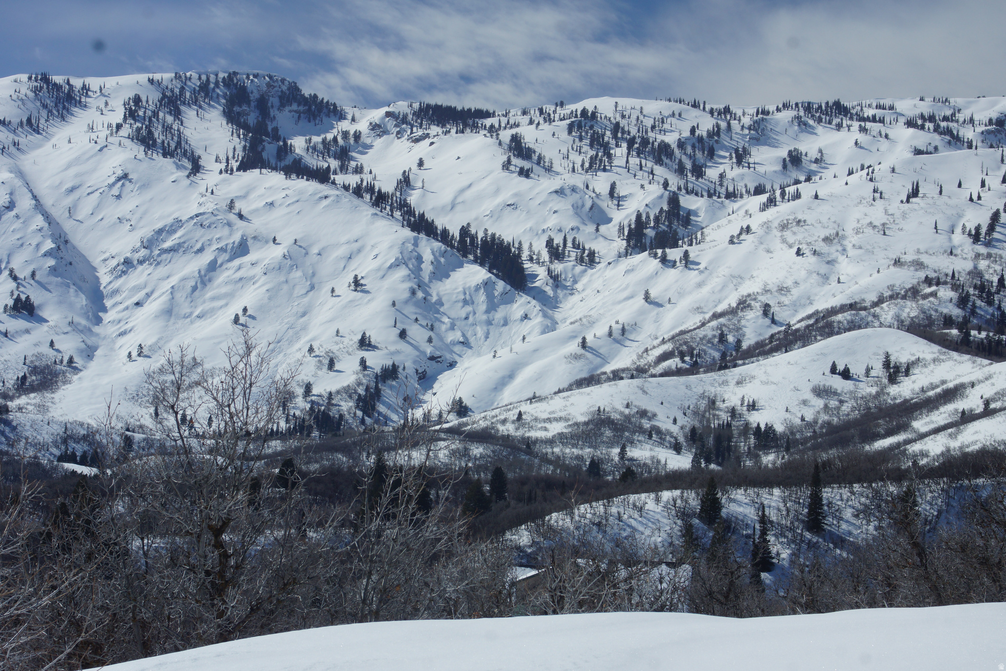 EMERSON HILLS - Land