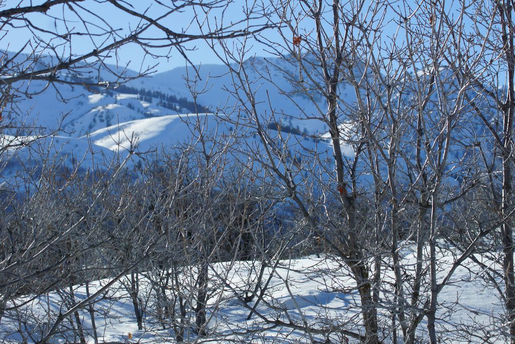 Photo of 2265 E LAUREN LN #7, Liberty, UT 84310 (MLS # 2128826)