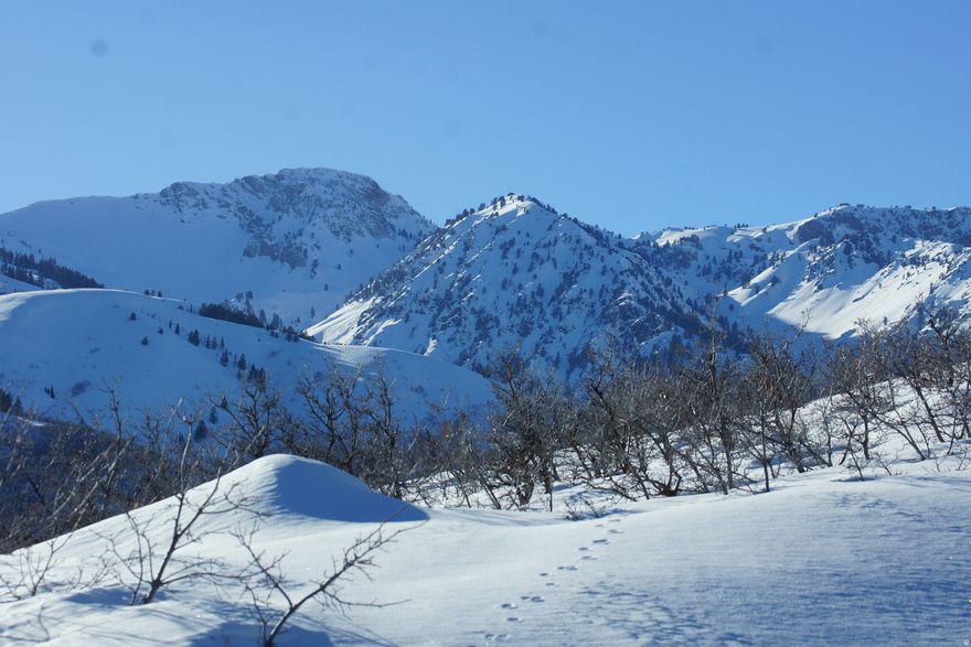 Magnificent 5.25 acre, elevated view lot with underground utilities stubbed, located  in the premier North Fork Park area of the Upper Ogden Valley in Liberty, northern Utah.  Priced below other comps of this stature and shown by appointment only, this lot offers a rare opportunity to own, in one of the most beautiful and secluded areas of the Upper Ogden Valley also now known as Ogden Valley City. Minutes from Powder Mountain, Snowbasin Resort, and Pineview Reservoir.  Four season recreational paradise just down the street to North Fork Park with access to nordic skiing, backcountry AT skiing, hiking, mountain biking, horse back riding, and much more. Abundant wildlife including deer, moose, wild turkey and more. Zoned for one single family residence only. Buyer agrees  to cooperate with Seller's 1031 Exchange. Absolutely no drivebys or trespassing.