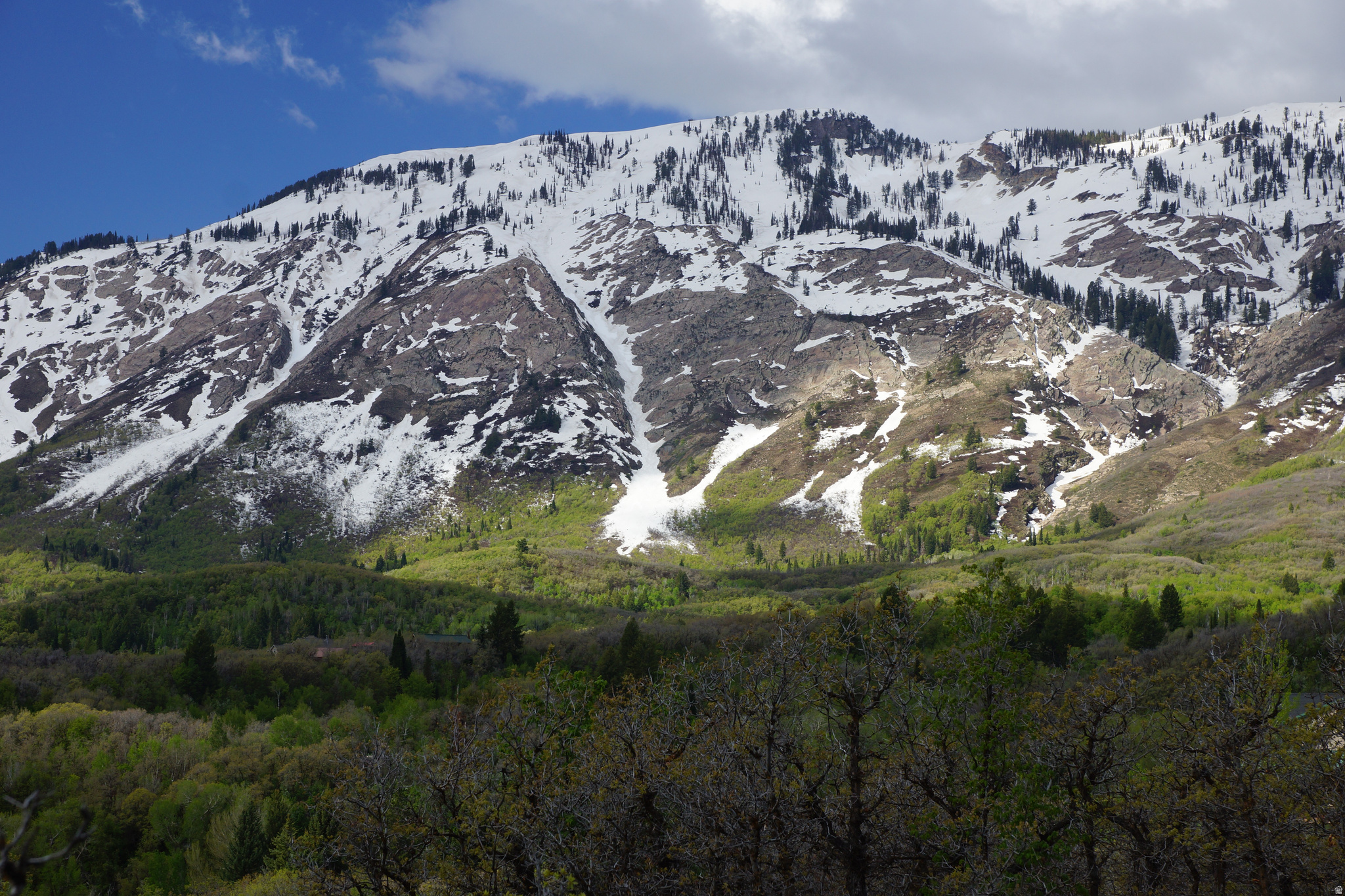 EMERSON HILLS - Land