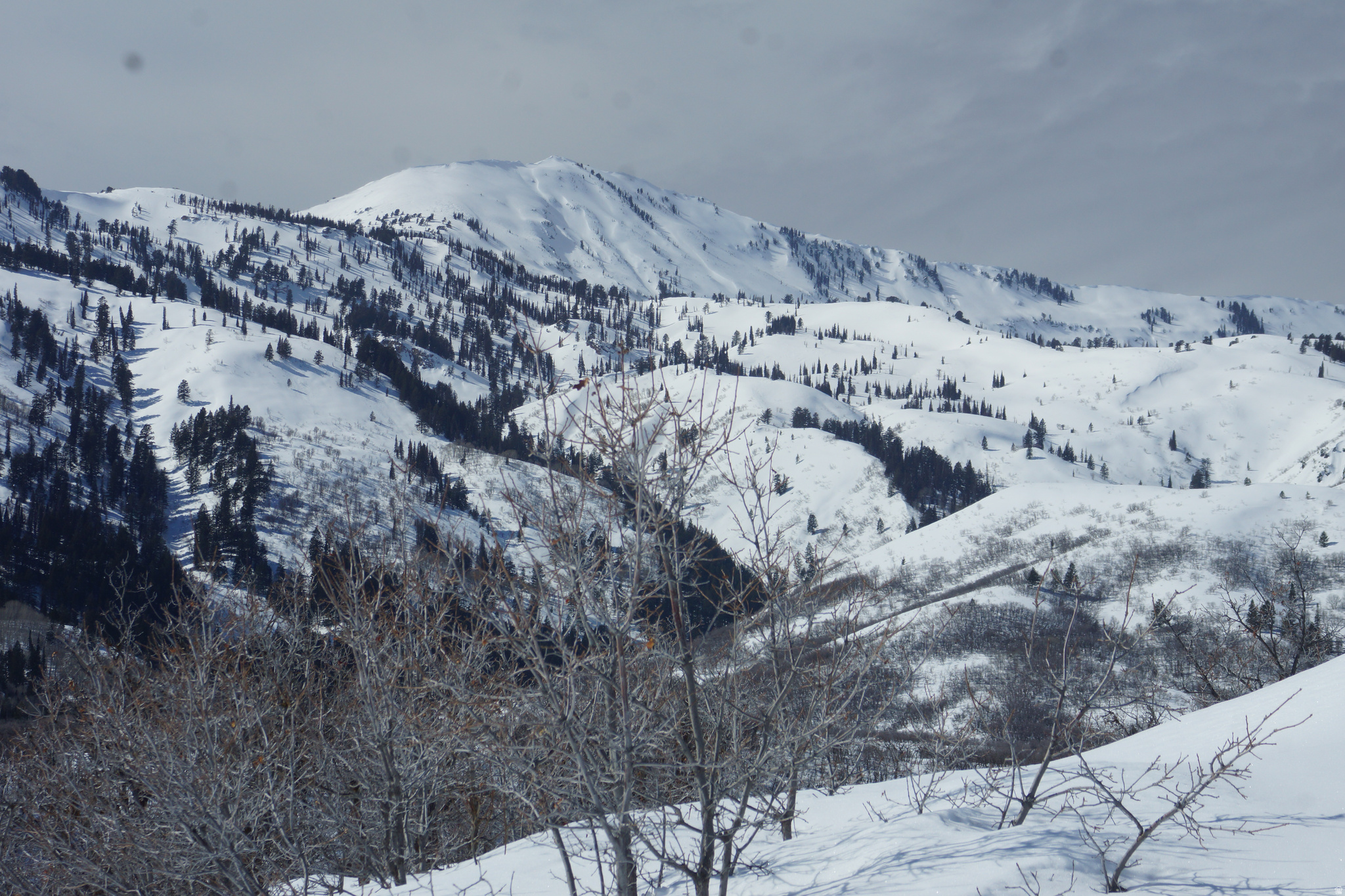 EMERSON HILLS - Land