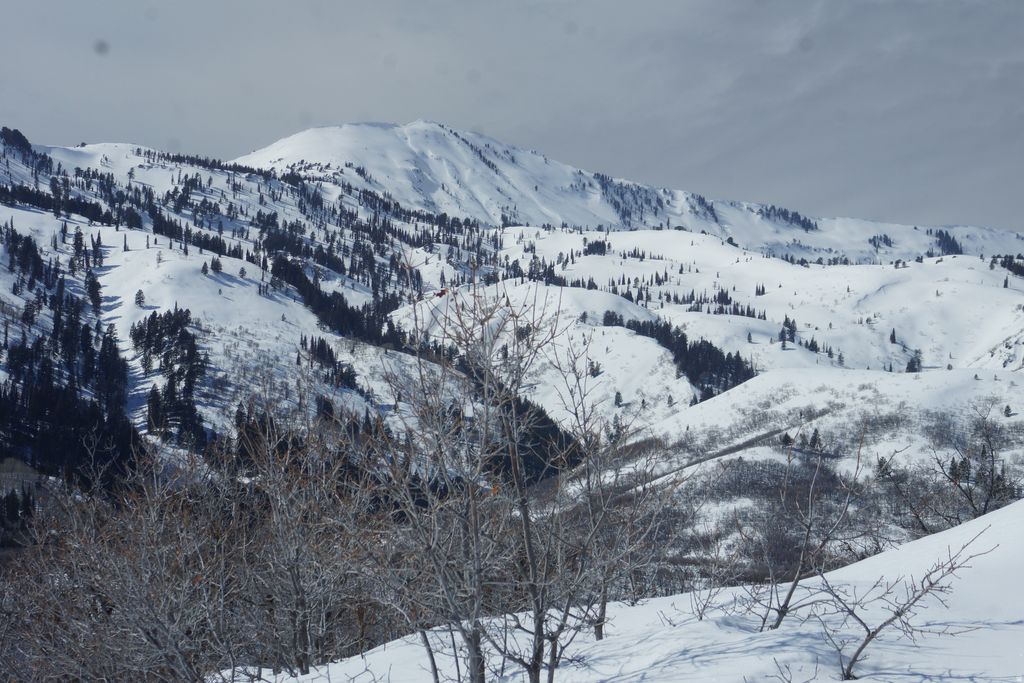 Photo of 2265 E LAUREN LN #7, Liberty, UT 84310 (MLS # 2128826)