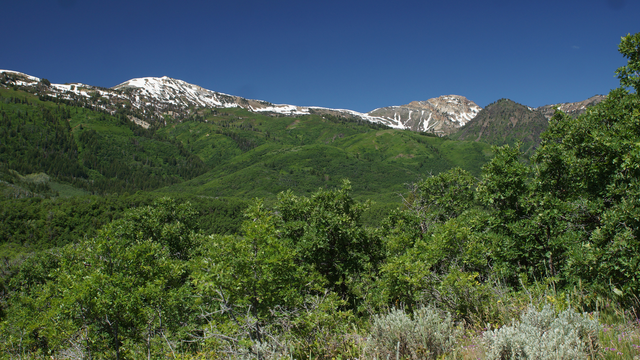 EMERSON HILLS - Land