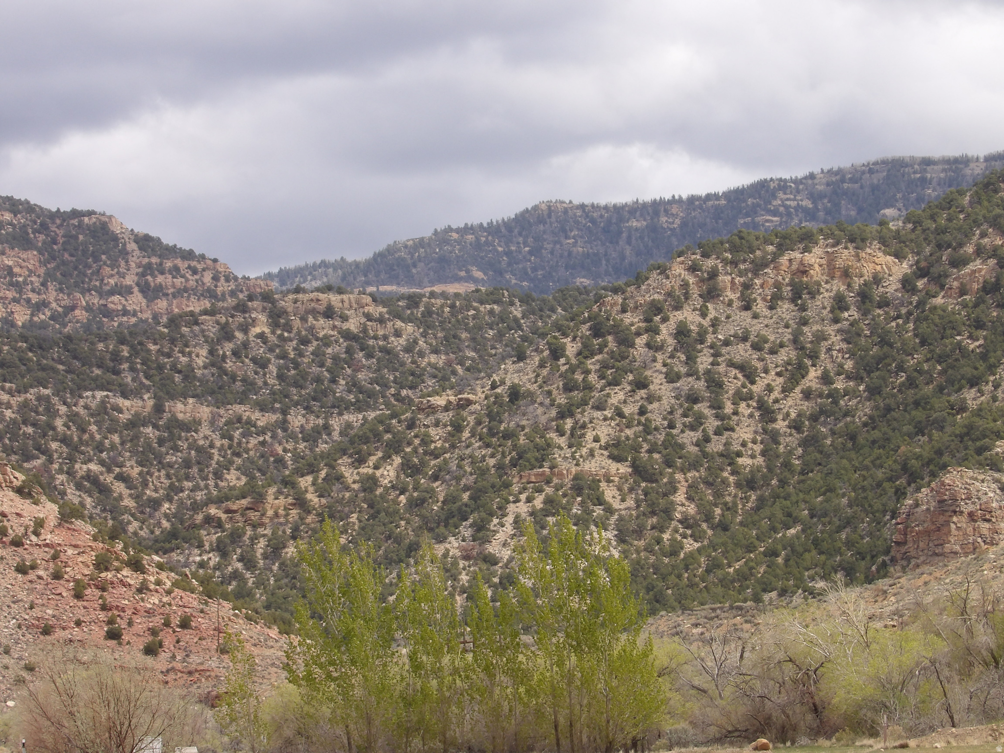 DRAGERTON SUB - Residential