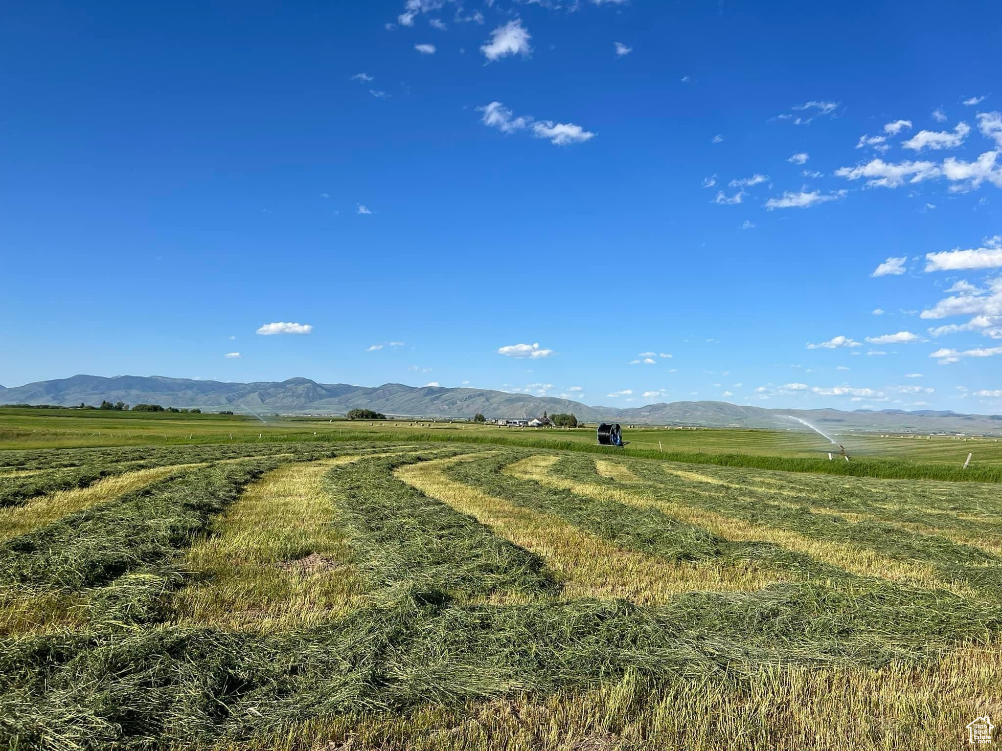 572 Lanark Rd #5, Montpelier, Idaho image 13