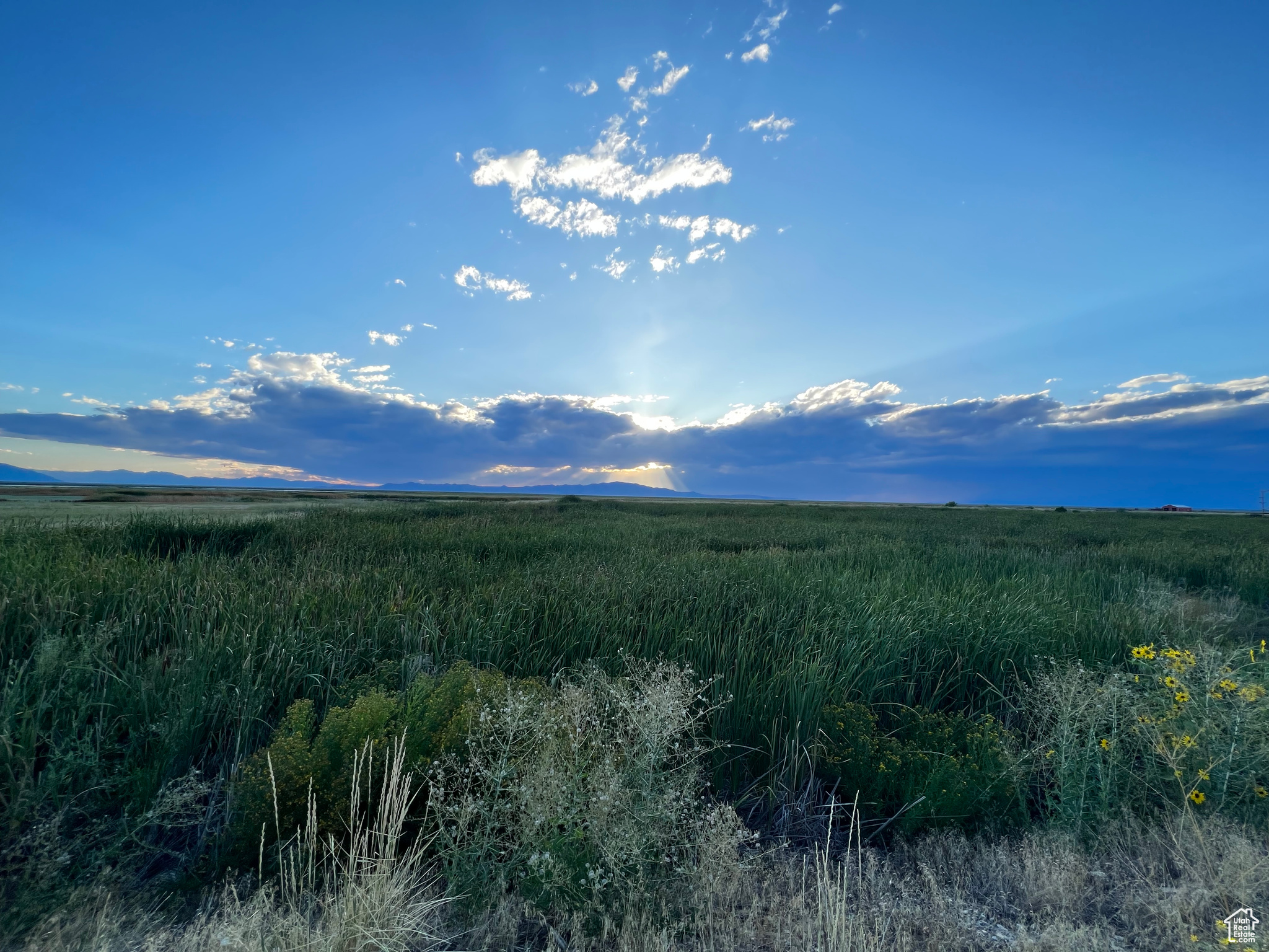 572 Lanark Rd #5, Montpelier, Idaho image 10
