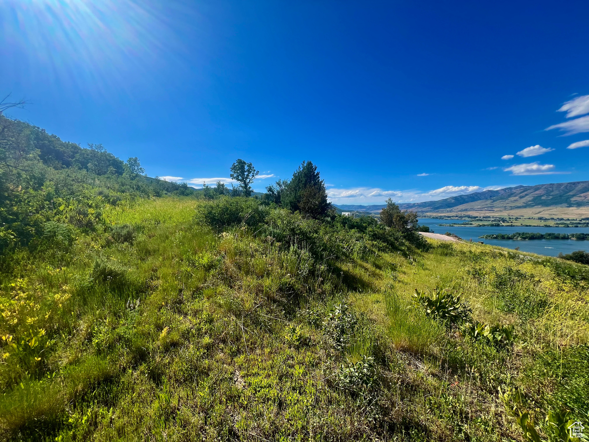 LEGACY MOUNTAIN - Land