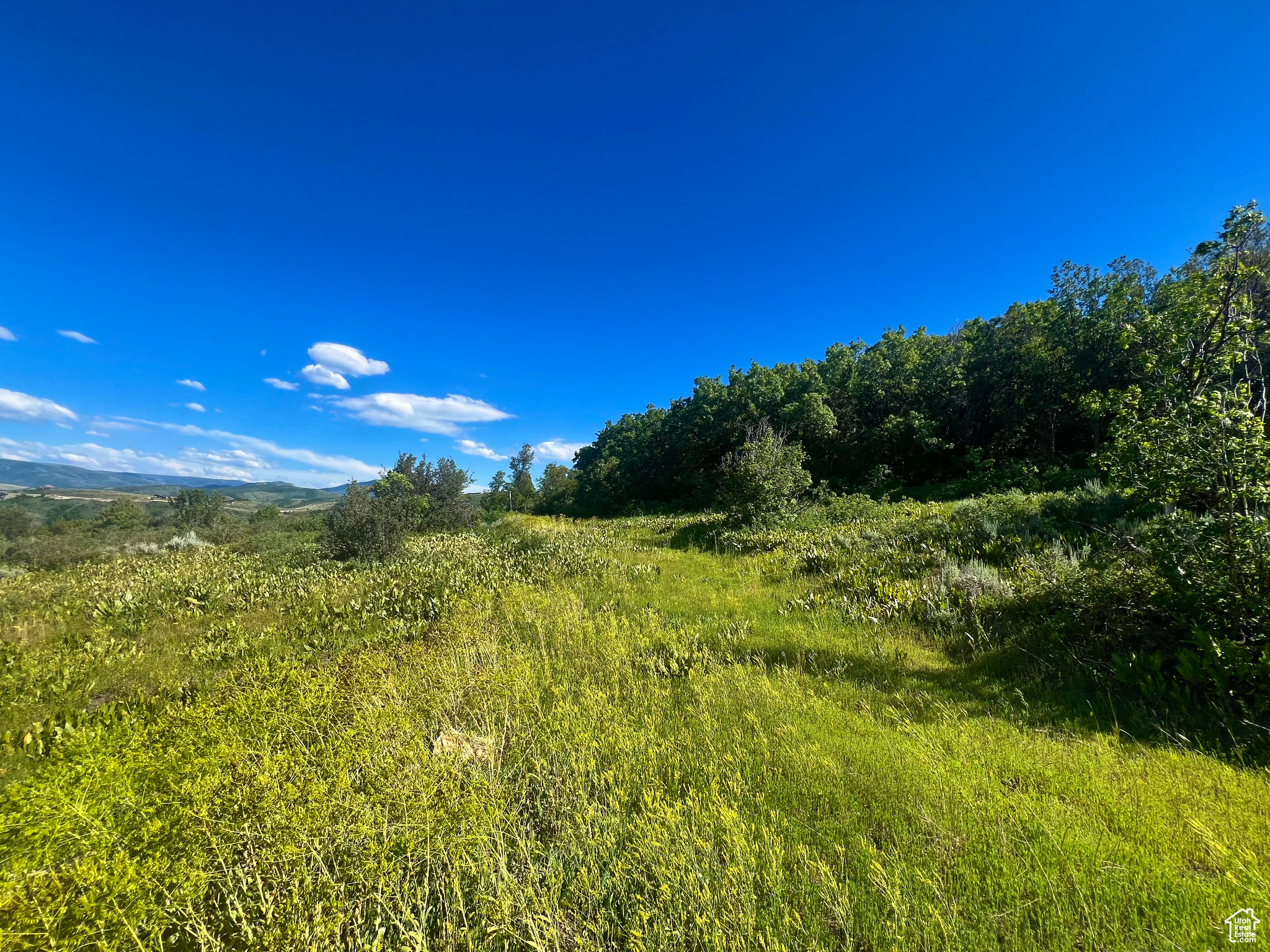 LEGACY MOUNTAIN - Land