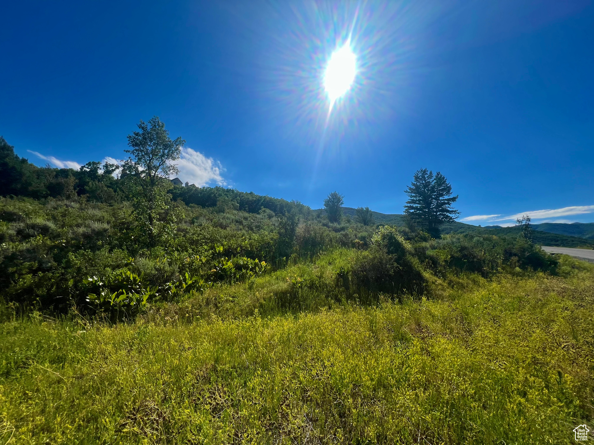 LEGACY MOUNTAIN - Land