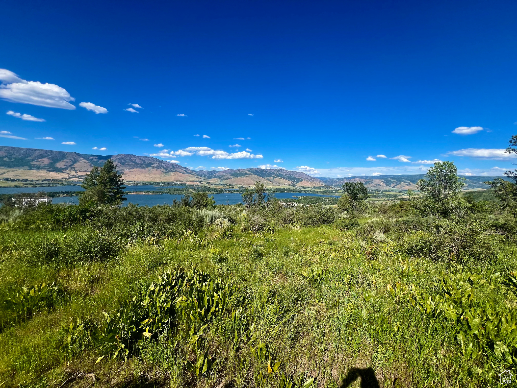 LEGACY MOUNTAIN - Land