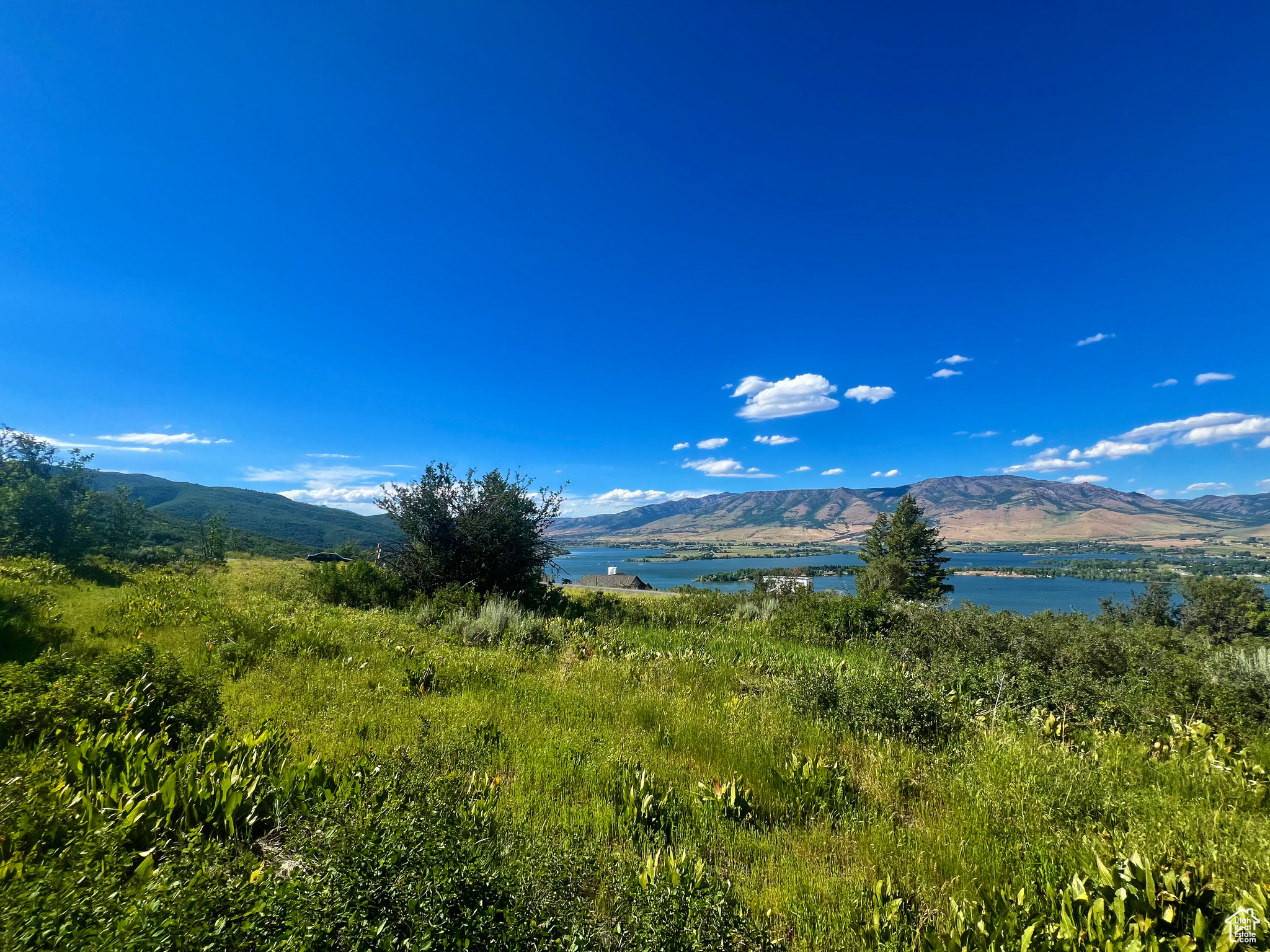 LEGACY MOUNTAIN - Land