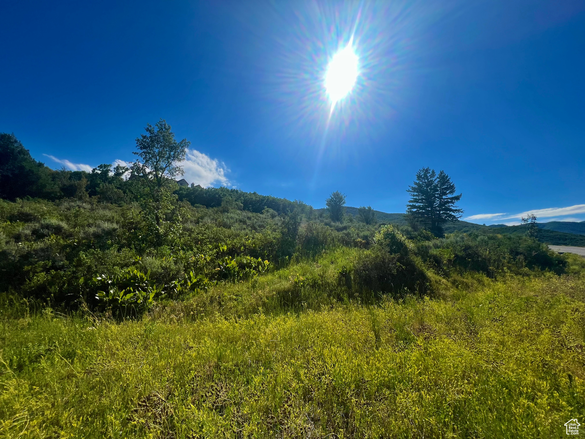 LEGACY MOUNTAIN - Land