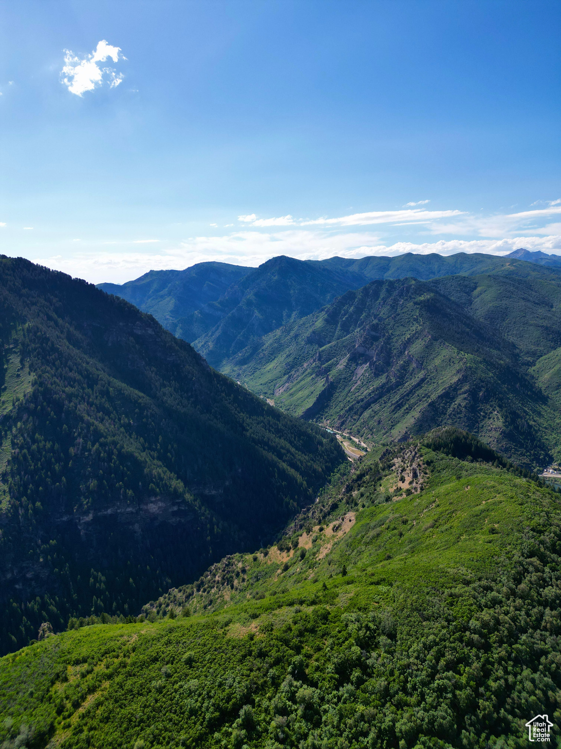 LEGACY MOUNTAIN - Land