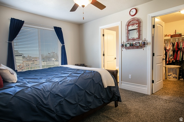 HINCKLEY PARK SUBDIVISION - Residential