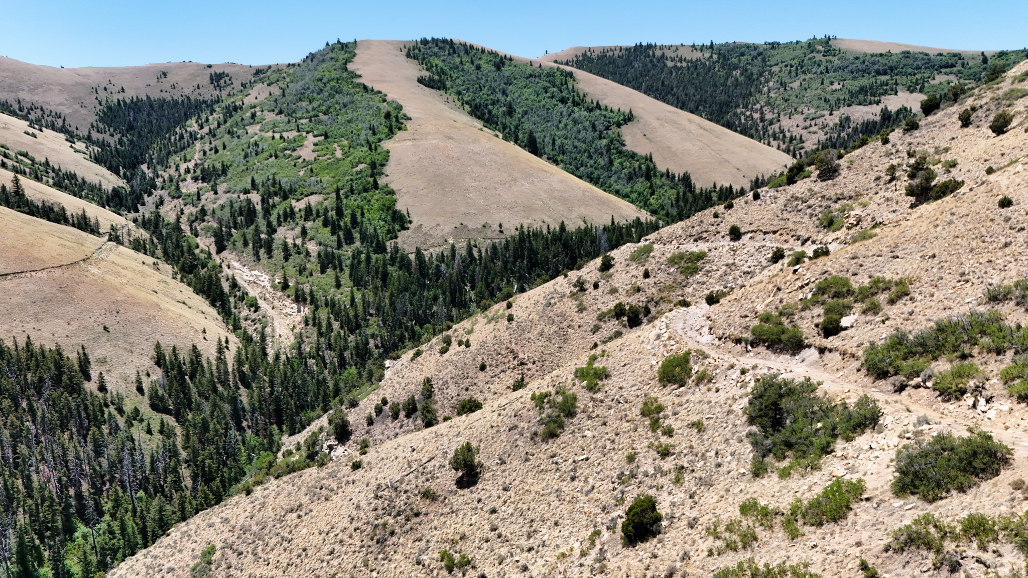 TOUCAN TRAILS 2 AT ELKHORN SPRINGS - Land