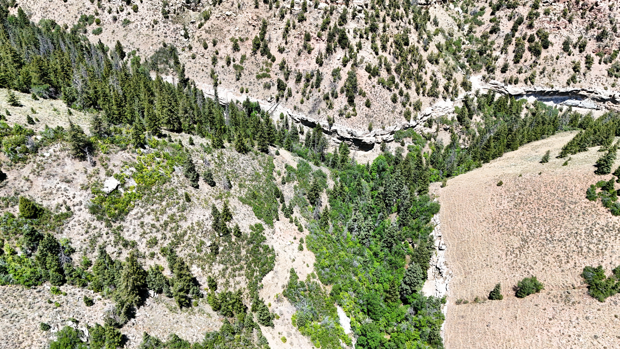 TOUCAN TRAILS 2 AT ELKHORN SPRINGS - Land