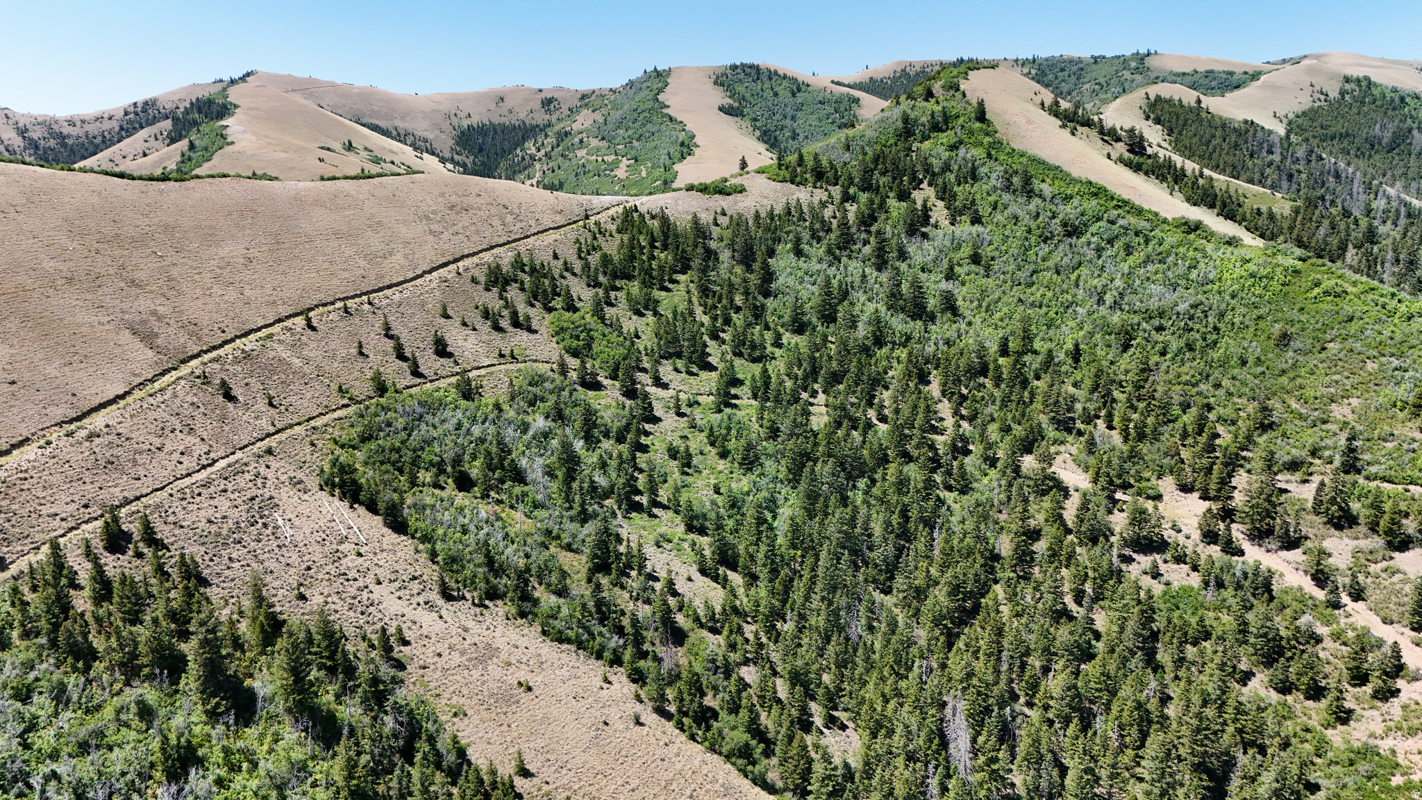 TOUCAN TRAILS 2 AT ELKHORN SPRINGS - Land