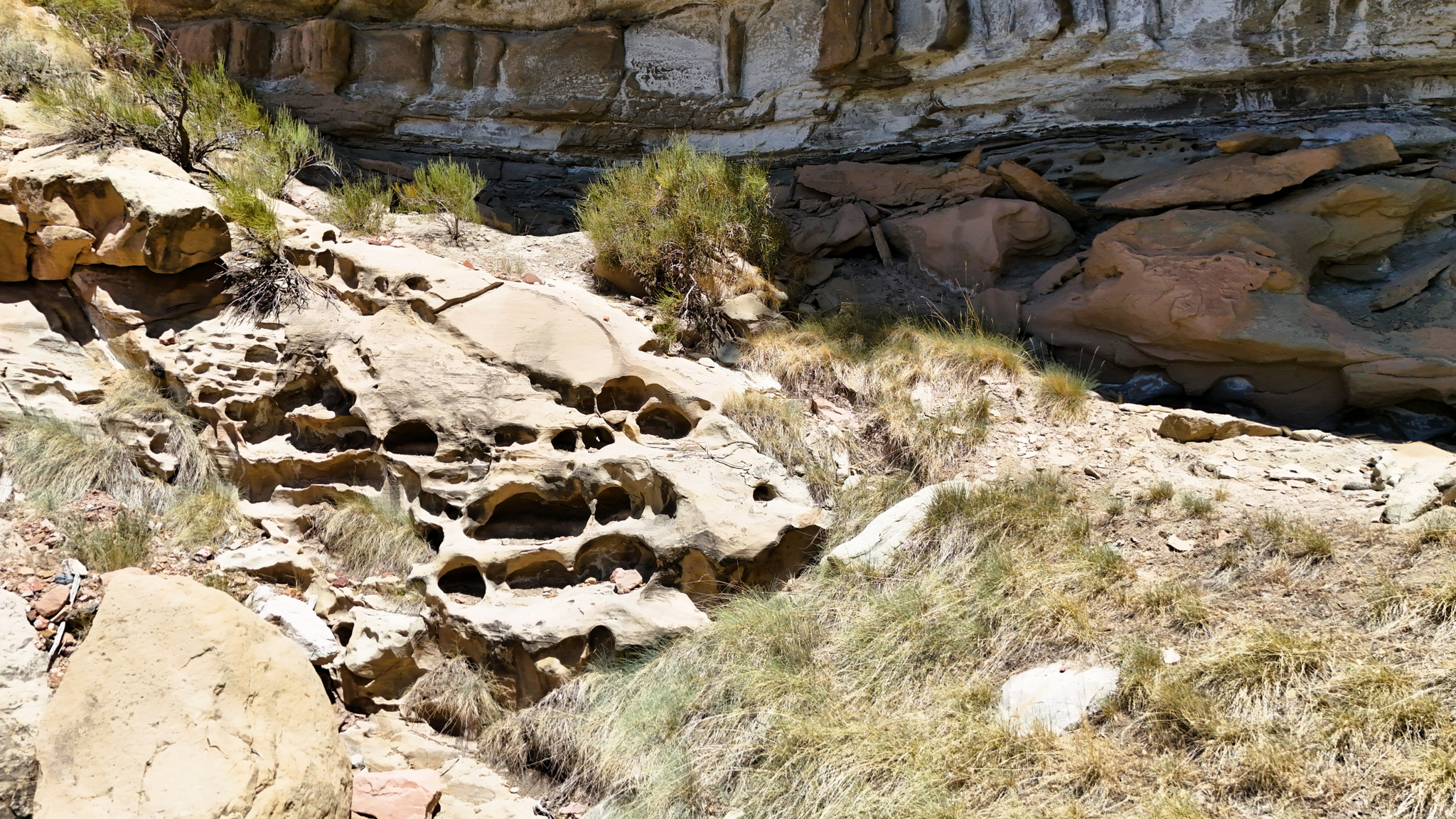 TOUCAN TRAILS 2 AT ELKHORN SPRINGS - Land