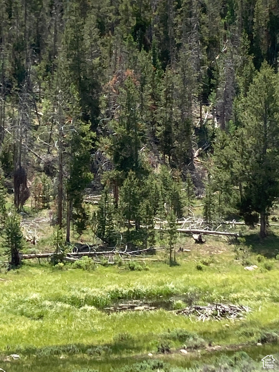 2045 Stillwater Loop #18, Kamas, Utah image 8